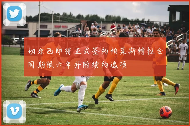 切尔西即将正式签约帕莱斯特拉合同期限六年并附续约选项