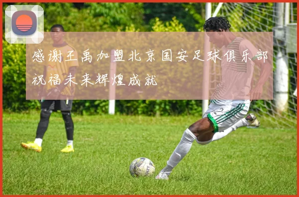感谢王禹加盟北京国安足球俱乐部祝福未来辉煌成就